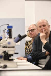 Kliknij, aby powiększyć zdjęcie.